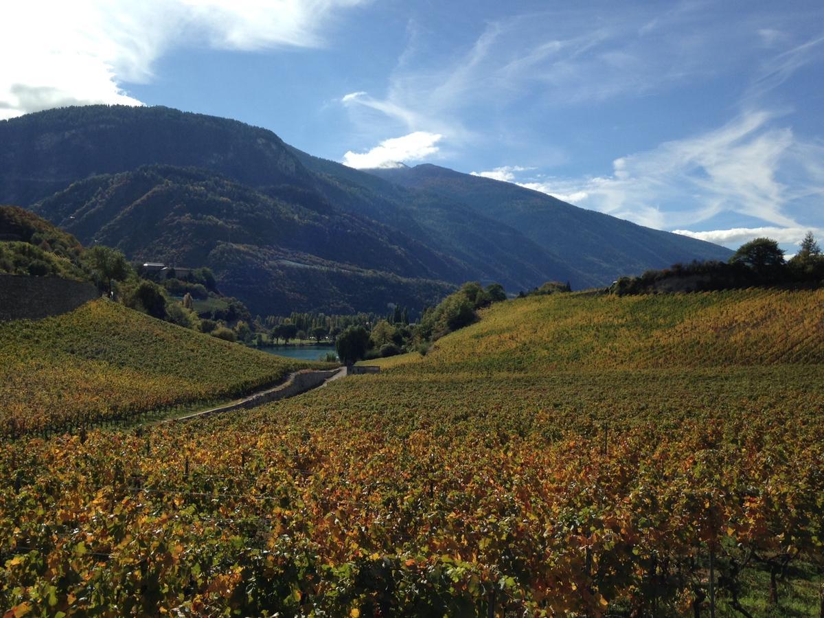 Bnb Chantevent Sierre Exterior foto
