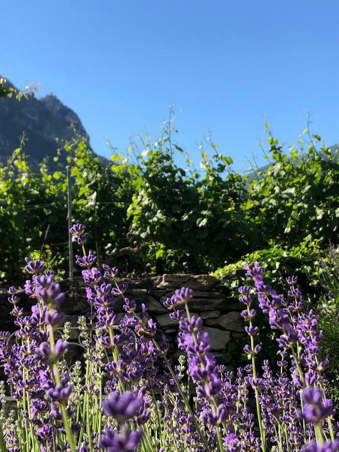 Bnb Chantevent Sierre Exterior foto