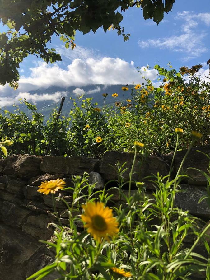 Bnb Chantevent Sierre Exterior foto